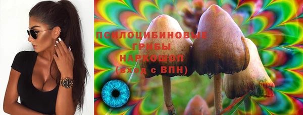 МДПВ Киреевск