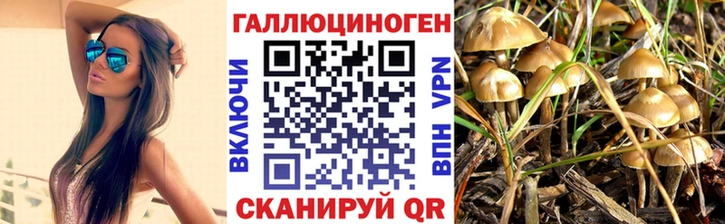 Псилоцибиновые грибы MAGIC MUSHROOMS  Купить закладки  Дмитров 