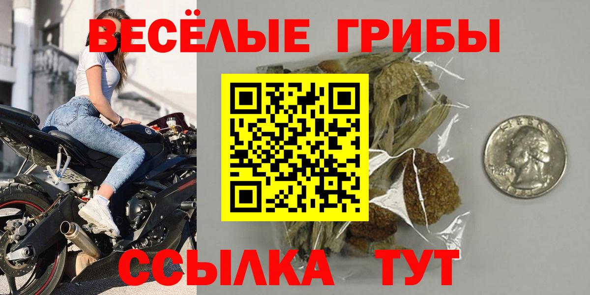 наркота  Вход с VPN  Дмитров  Псилоцибиновые грибы прущие грибы 